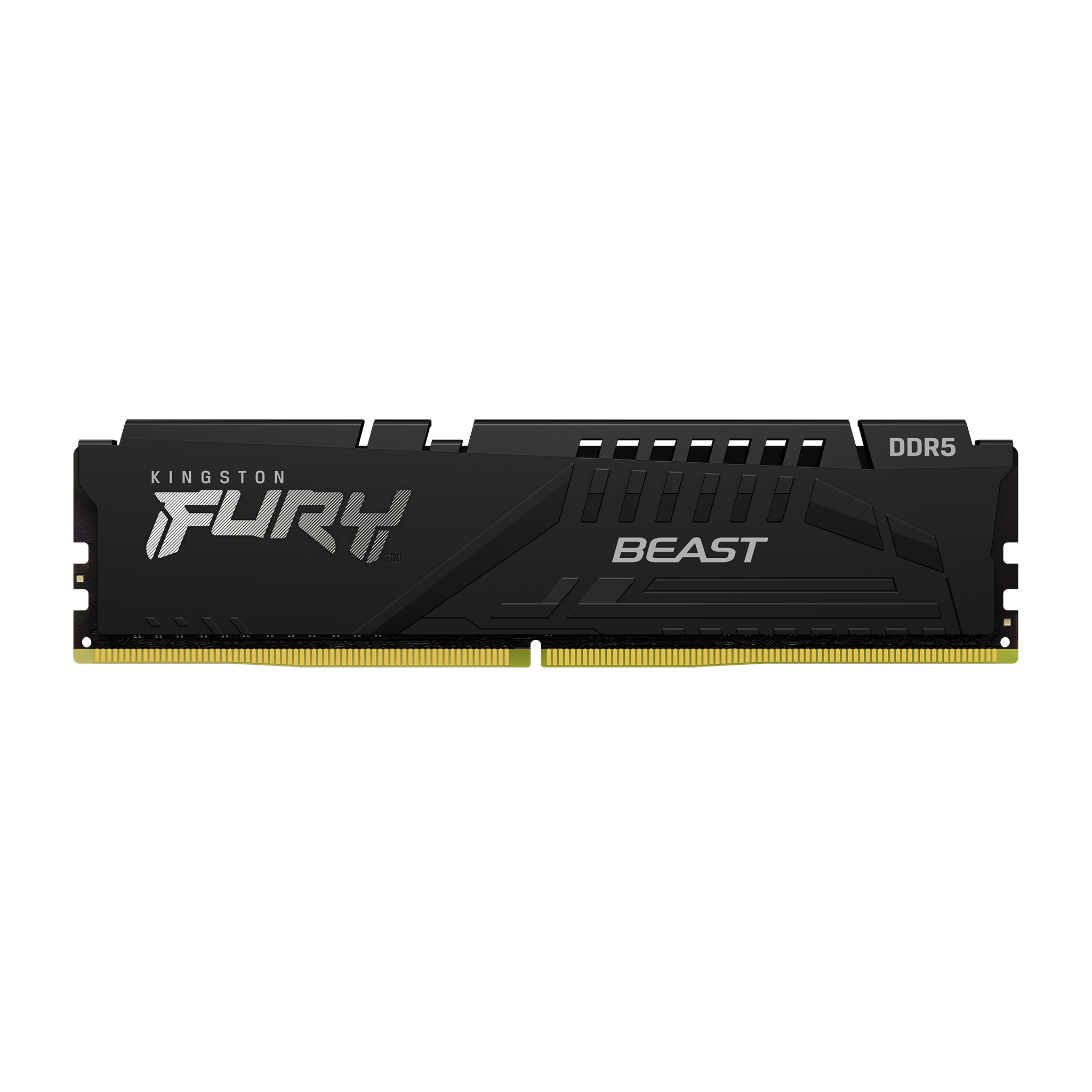 16G DDR5 6800 KING EXPO BK BEA